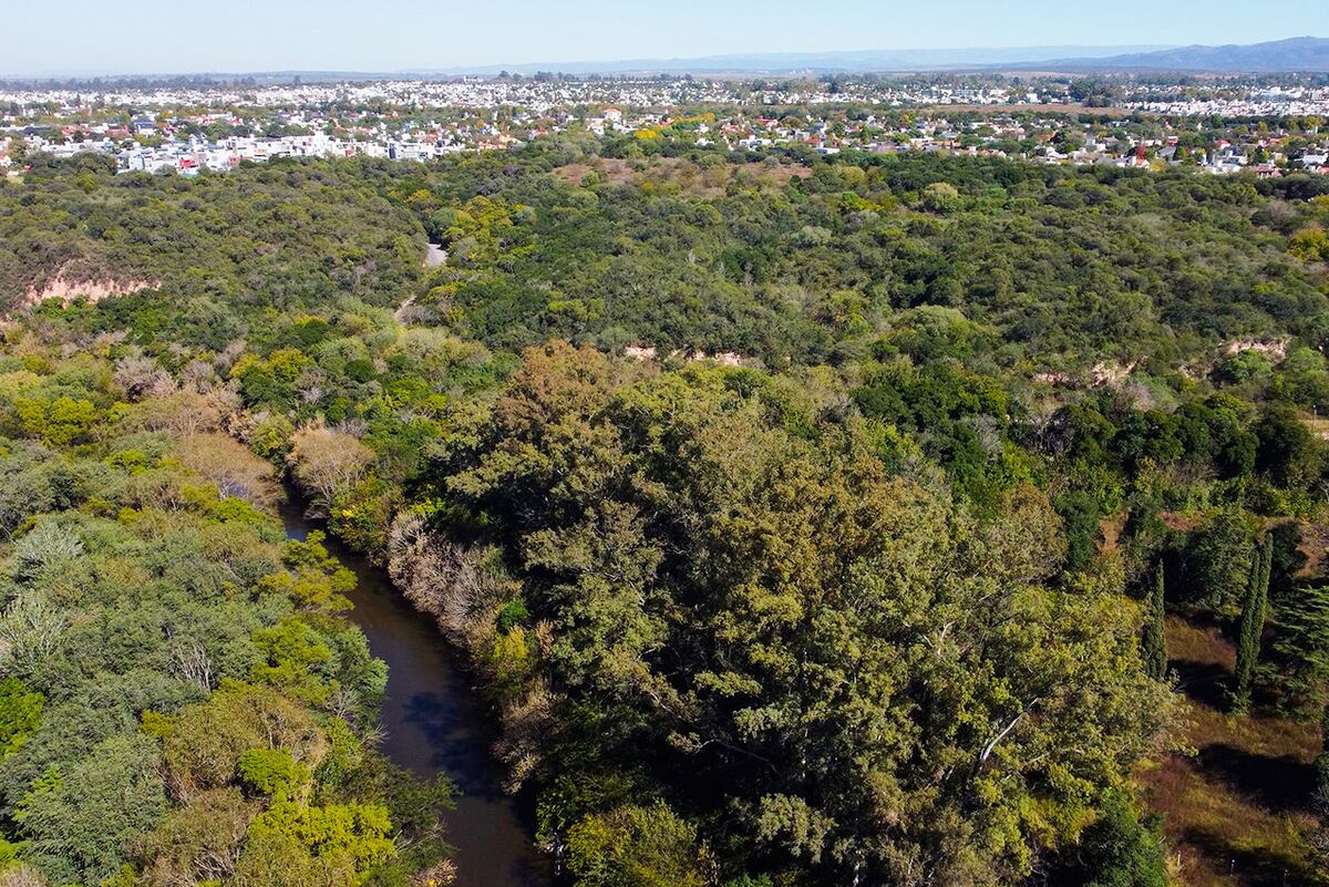 Reserva Natural General San Martín: el gran pulmón verde de la ciudad de Córdoba