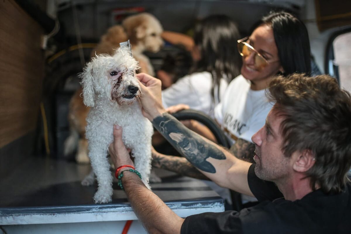 SERVICIOS. El equipo de DogTruck en Córdoba. Servicio a domicilio para el cuidado canino. (Gentileza DogTruck)