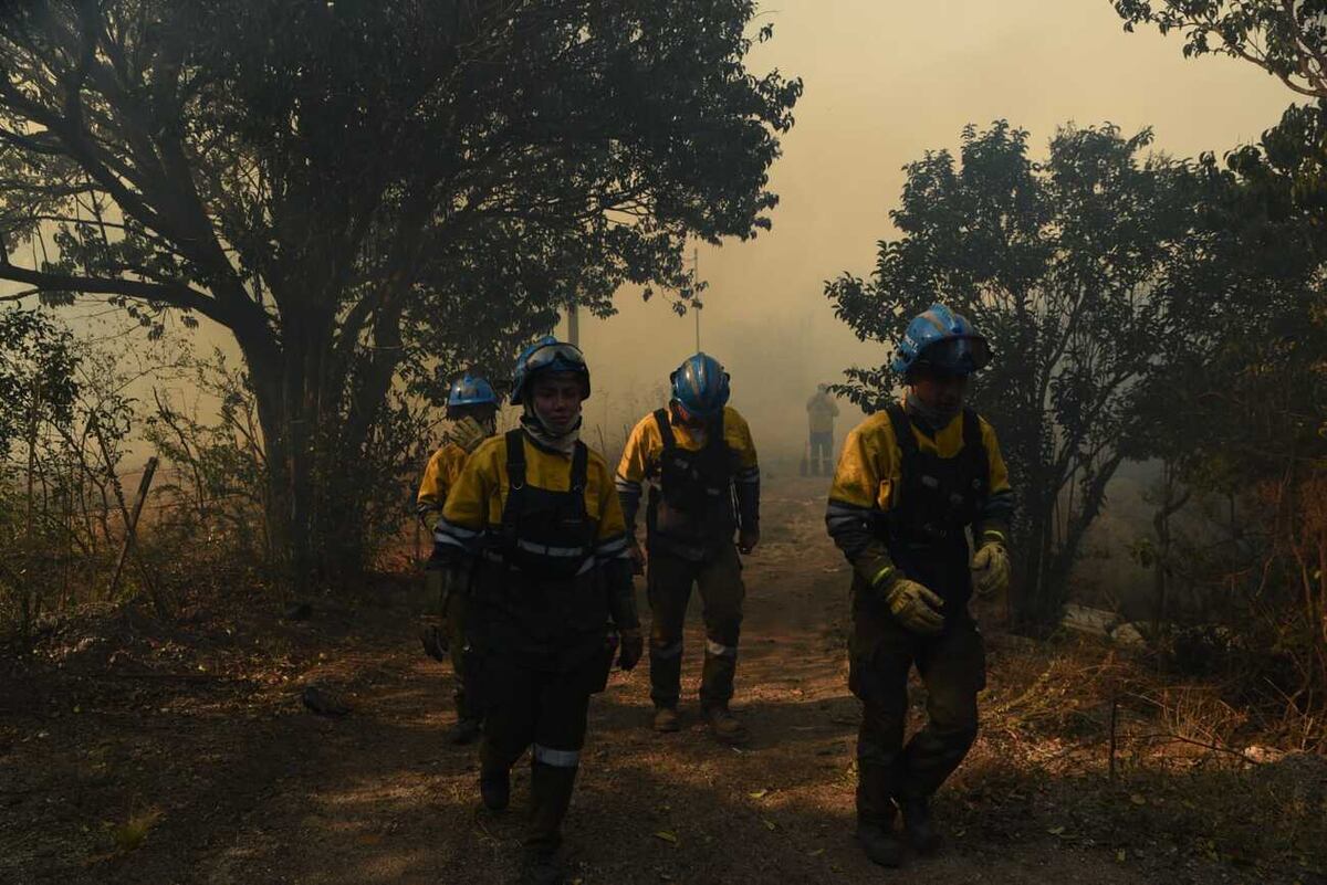 Bomberos entre el humo de los fuegos en las sierras de Punilla. (La Voz)
