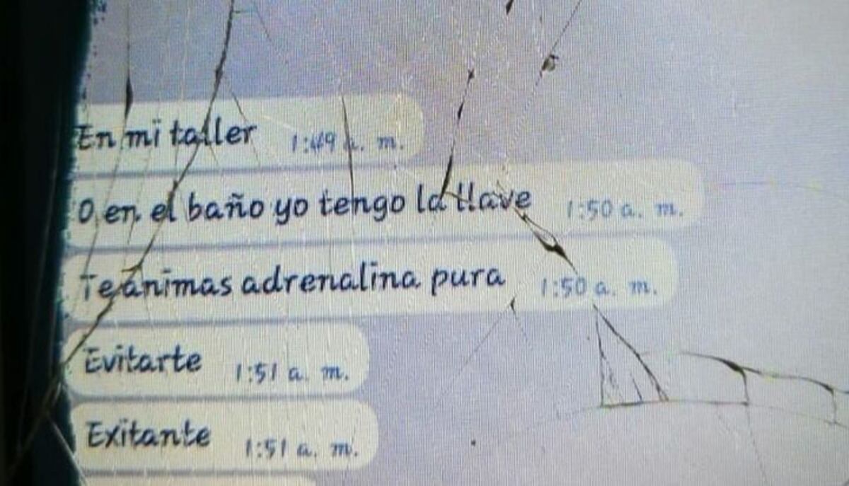 Las capturas de los mensajes que el docente salteño le habría enviado a su alumna menor de edad. (El Tribuno)