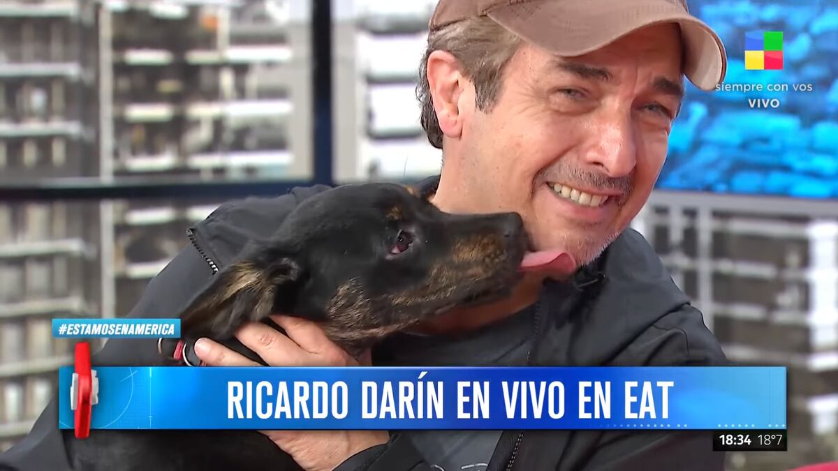 Ricardo Darín encontró un perrito en la calle y lo llevó a la televisión para encontrar a sus dueños