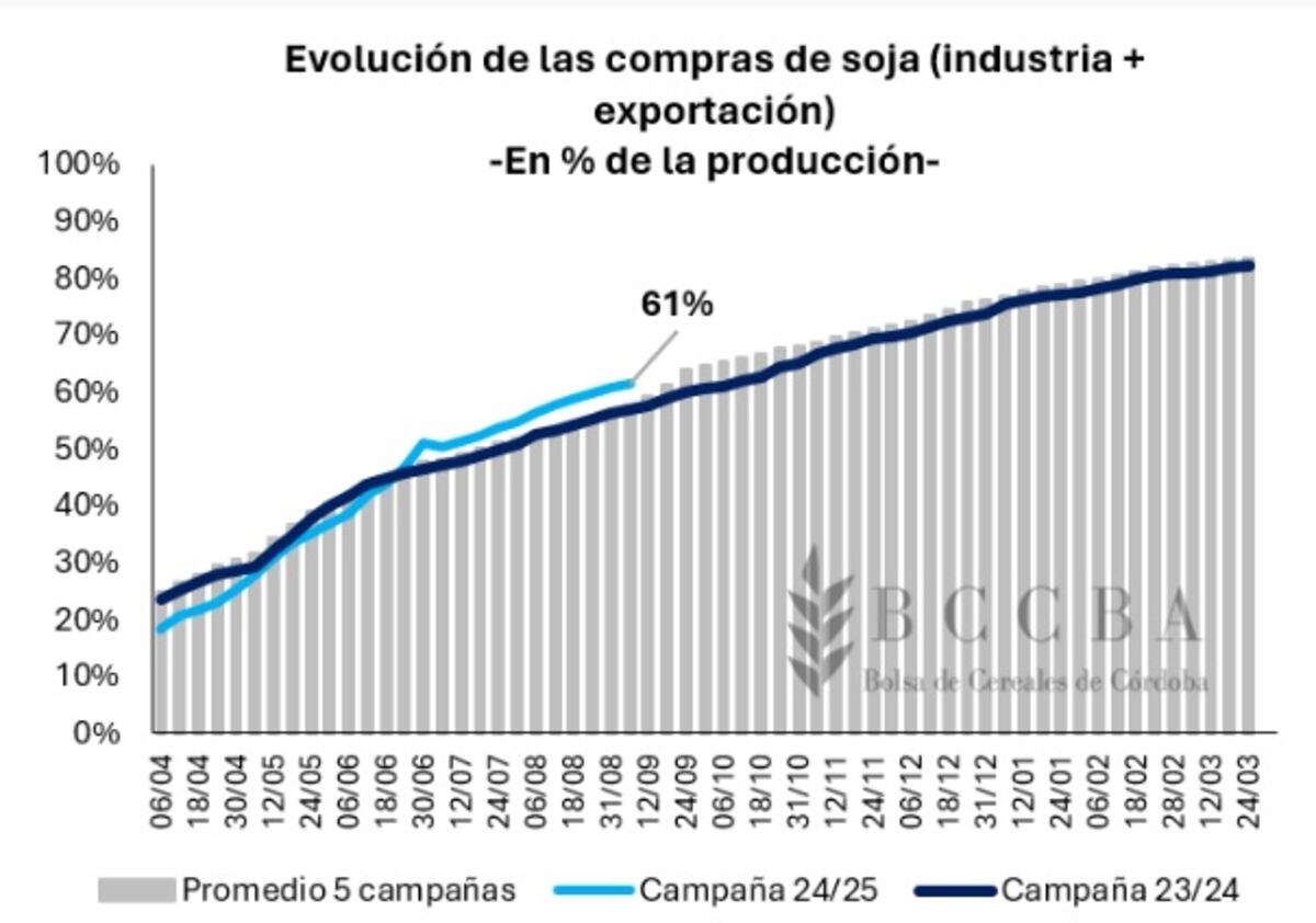 (Gentileza BCCBA)