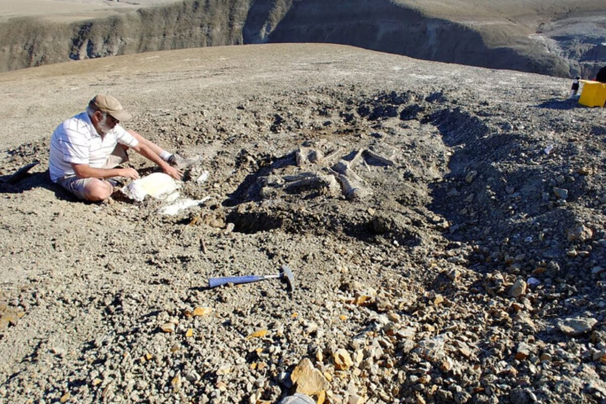 El hallazgo fue en La Colonia, provincia de Chubut, y fue reportado en la revista científica Historical Biology. (Foto: gentileza Vincent Brusca)