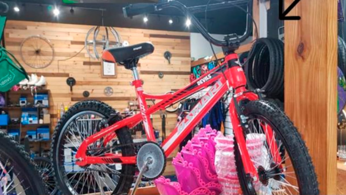 Así es el modelo de la bicicleta robada. (Web)