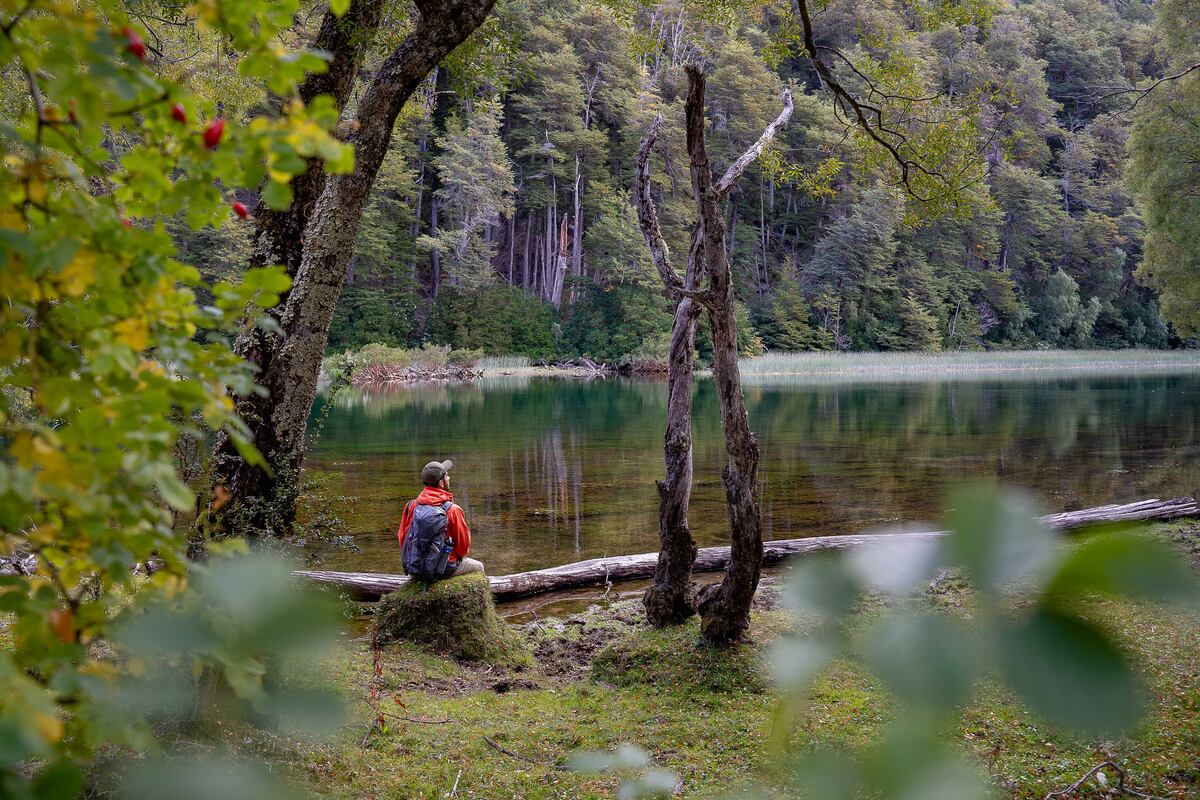El aire puro de la cordillera y el silencio de los bosques definen la esencia de Esquel.