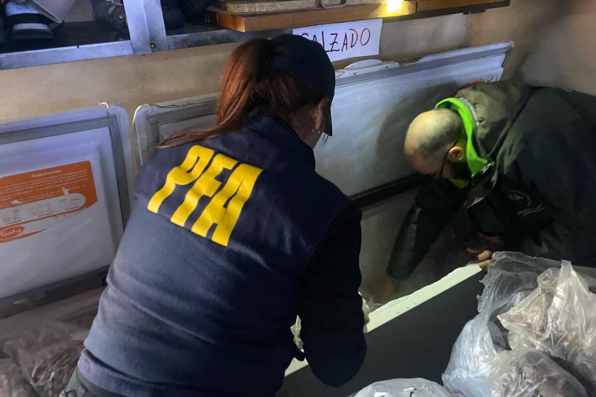 Allanaron un bodegón por venta ilegal de carne silvestre: incautaron 160kg de especies protegidas. (Gentileza)