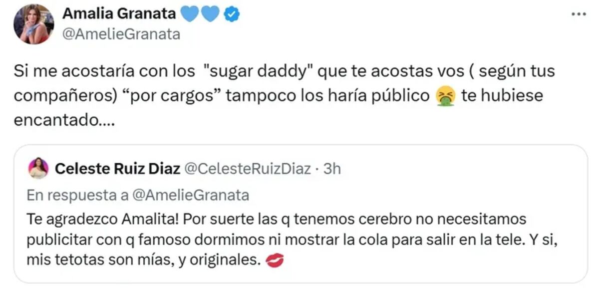 El insolito cruce entre Amalia Granata y una funcionaria del gobierno de Santa Fe.
