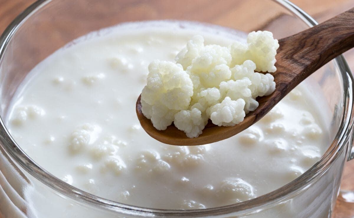 El “oro blanco” milenario que ayuda a restaurar la flora intestinal y mejorar la digestión