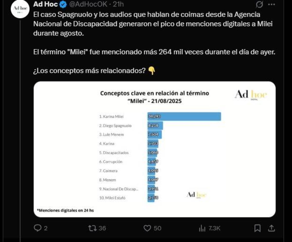 Crece la imagen negativa de Milei tras los audios por presuntas coimas a funcionarios libertarios. (X Ad Hoc)