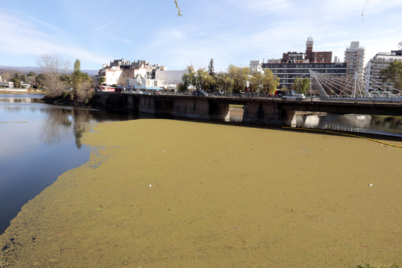 El lago San Roque presenta nuevamente algas en la superficie del agua.  (La Voz)