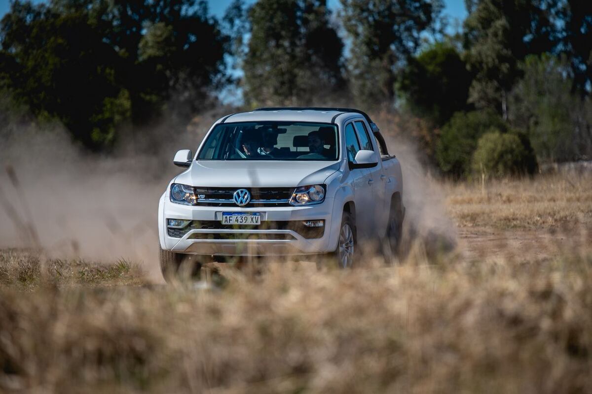 Amarok