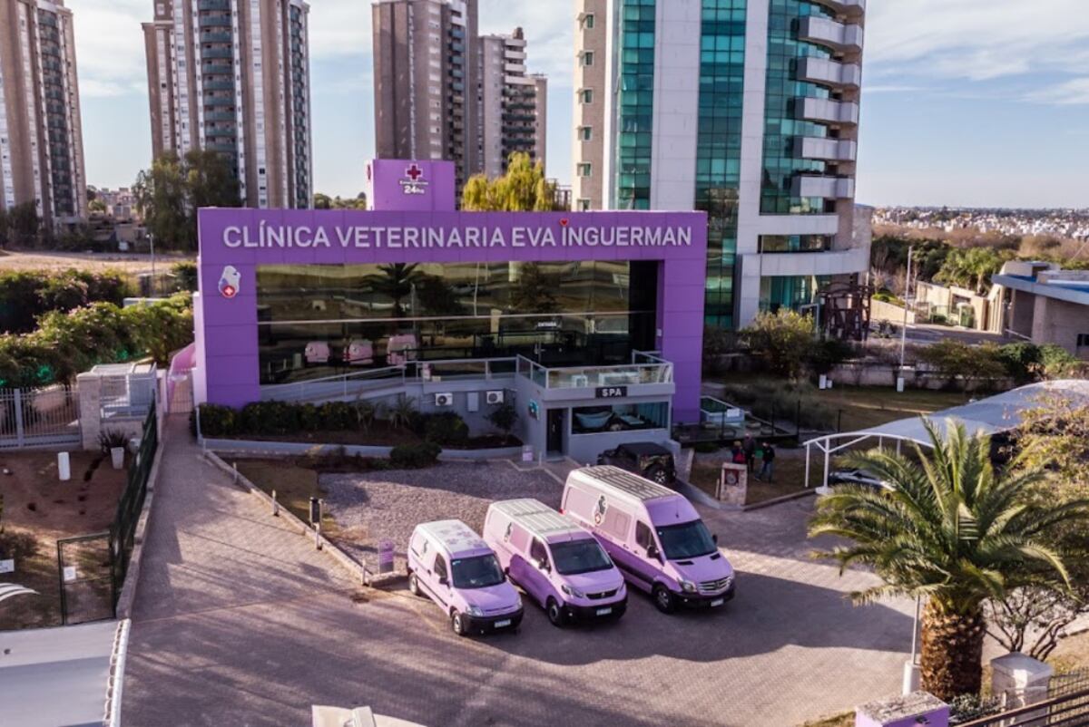 Los especialistas de la Clínica Veterinaria Eva Inguerman brindan una serie de recomendaciones en relación a los golpes de calor. (Foto: Clínica Veterinaria Eva Inguerman)