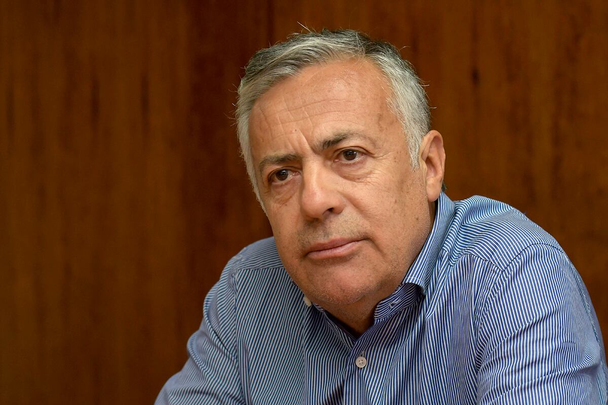 Alfredo Cornejo, candidato a gobernador este domingo. (Gentileza)