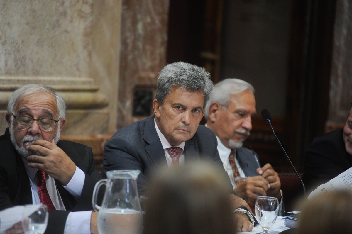 Bicameral de DNU
en el senado de la nación
Argentina
victor zimmermann
Foto Federico Lopez Claro
