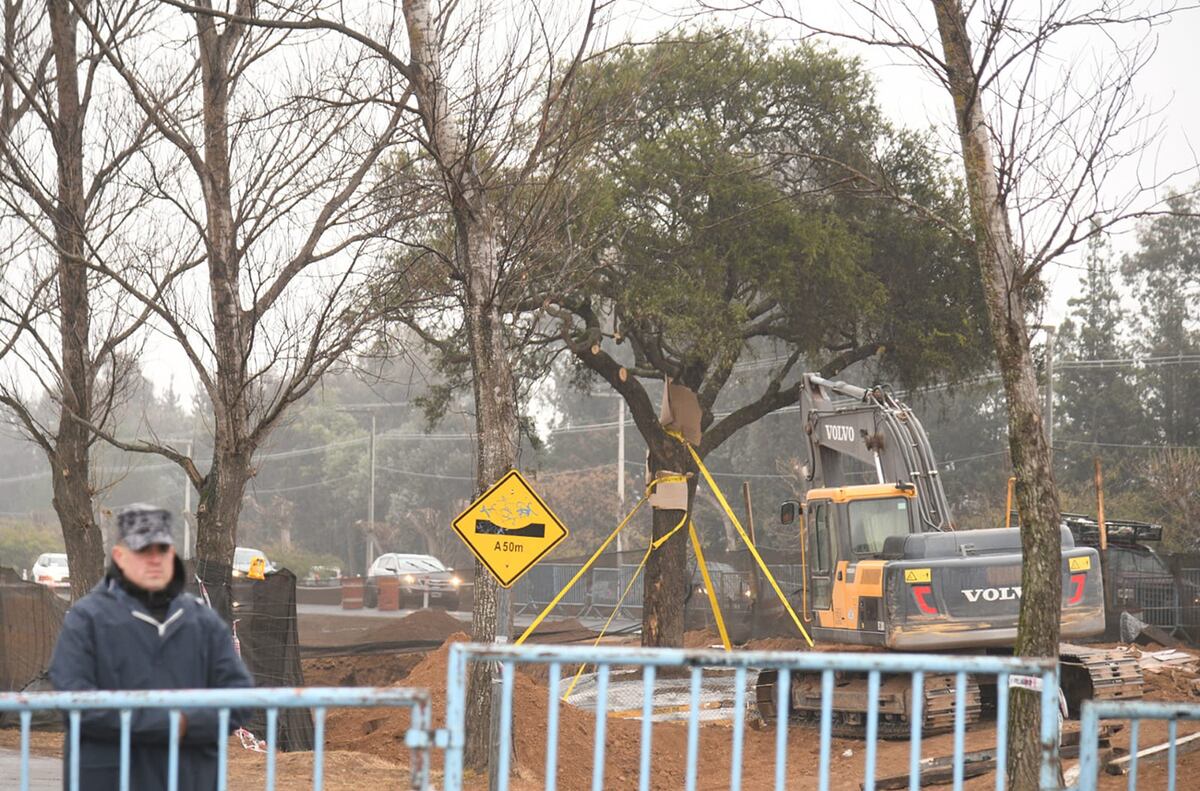 Quebracho de la Avenida Luchesse. Sigue la protesta por el traslado del árbol. (Pedro Castillo / La Voz)