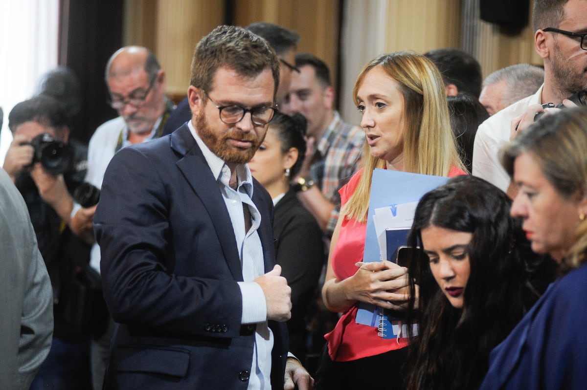 Massot integra la Bicameral de seguimiento de DNU. (Federico López Claro)
