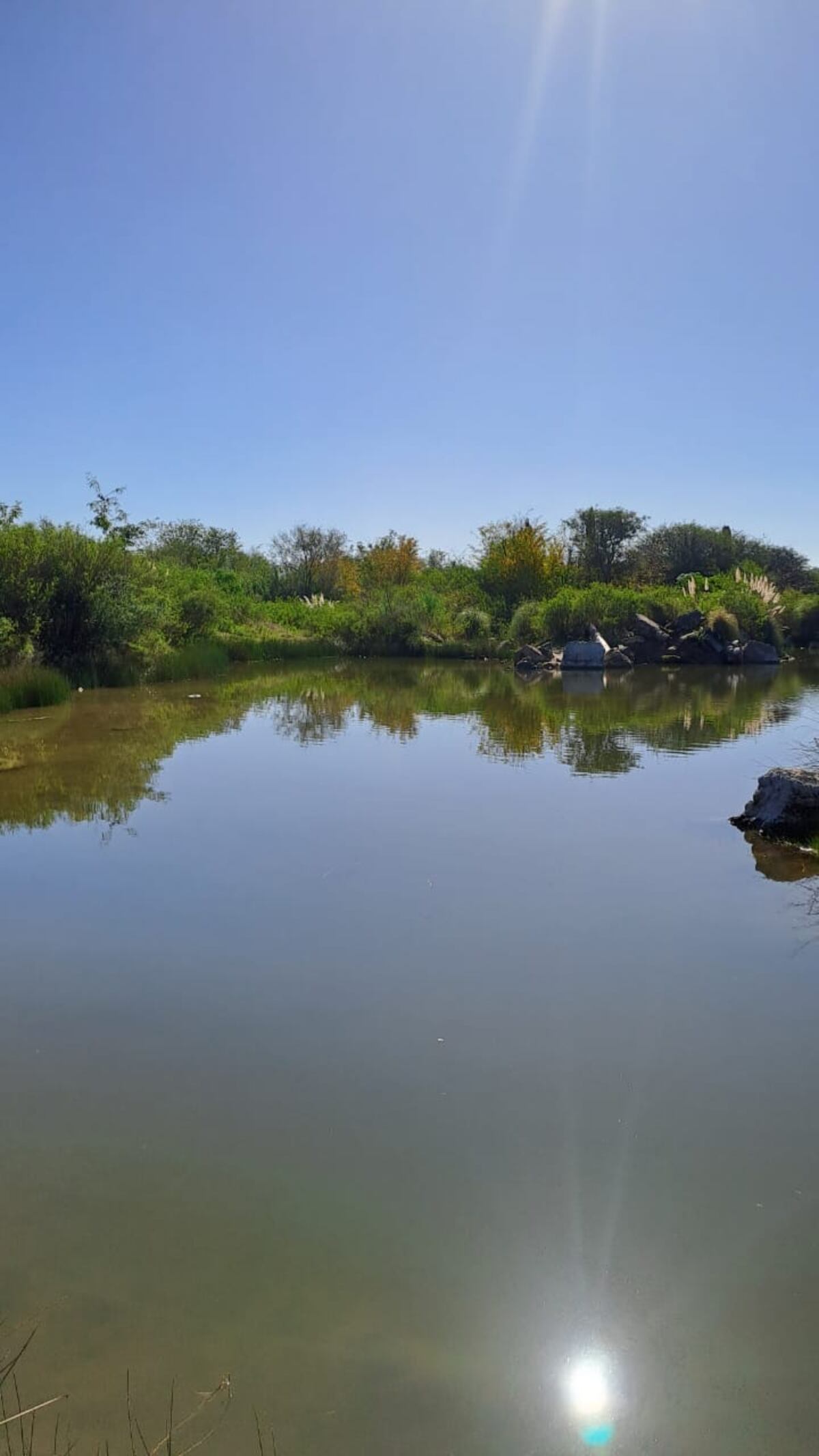 Avistaje de aves en la Reserva Natural Urbana San Martin. (Fundación Mil Aves)