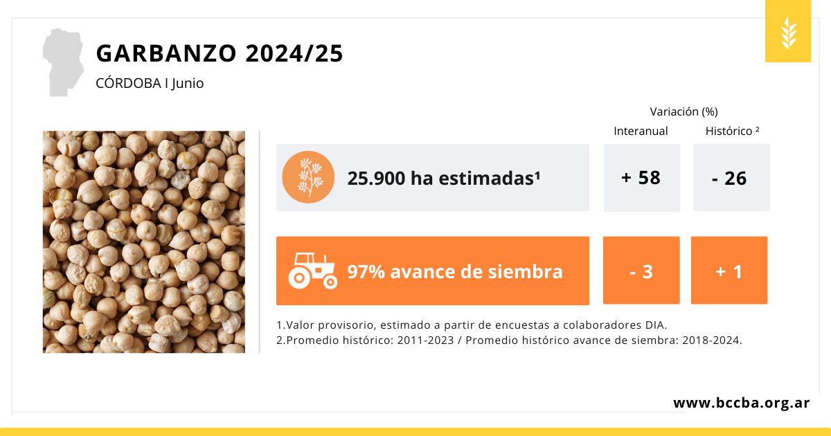 Garbanzo 2024-25