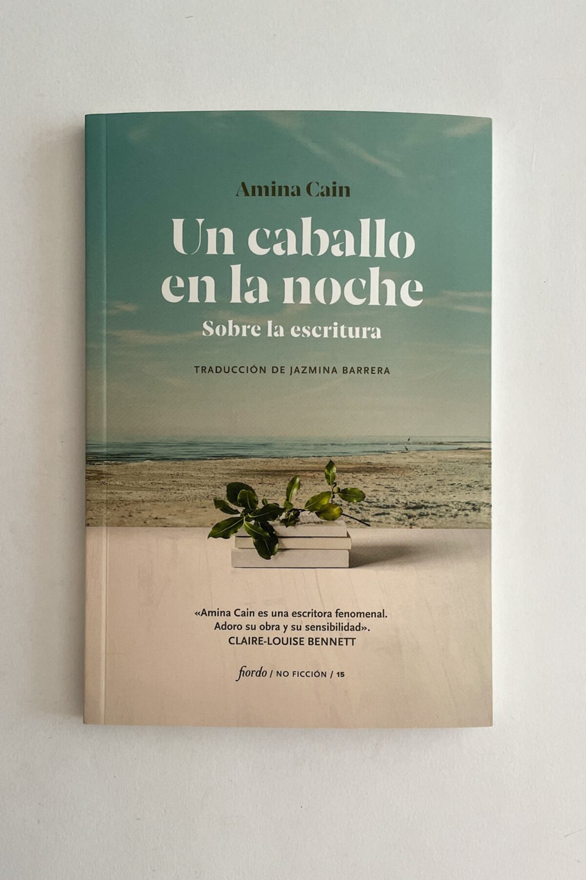"Un caballo en la noche", de Amina Cain.