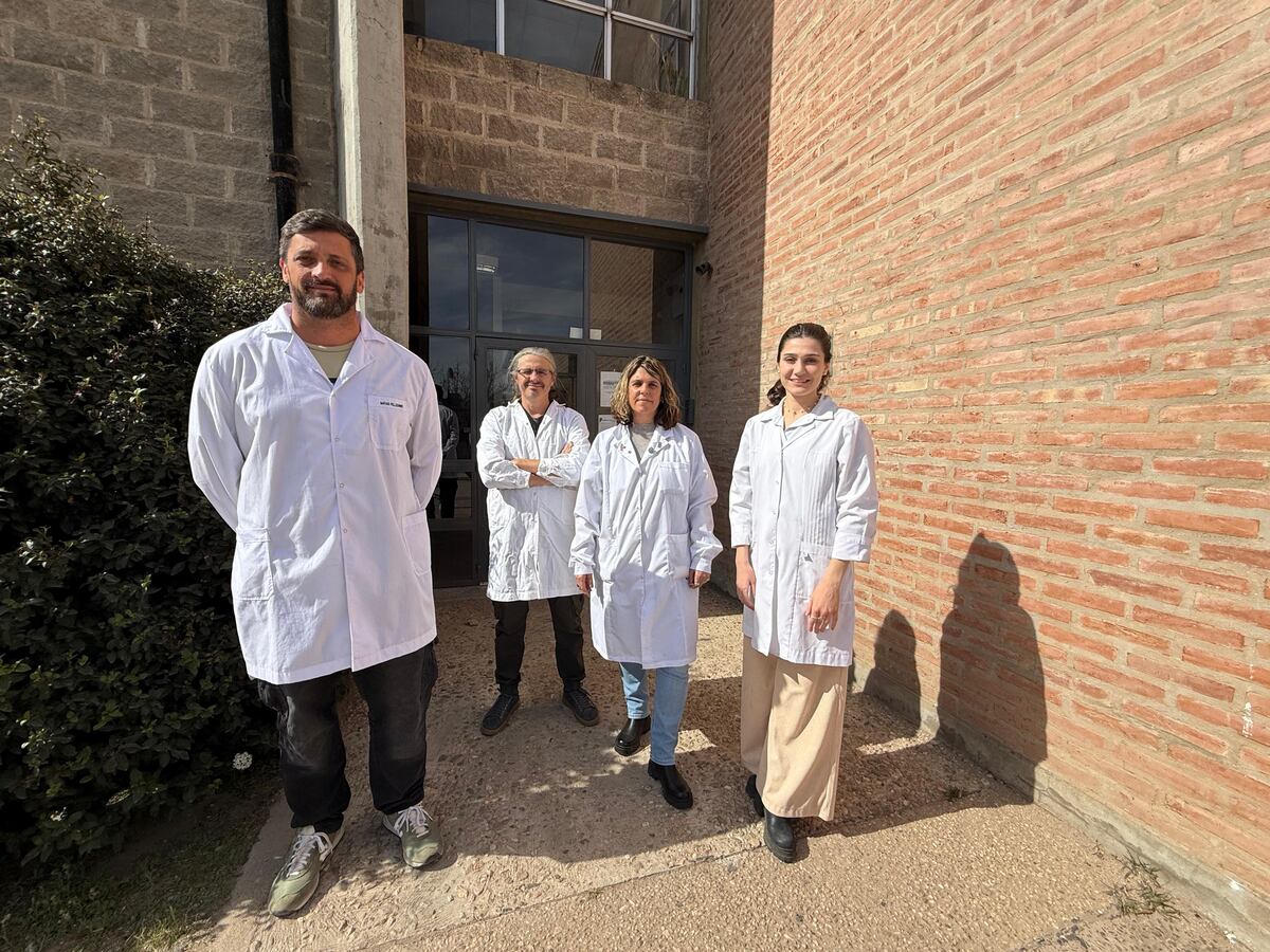 De izq a der: Matias Pellegrino, Horacio Mouguelar, Natalia Pereyra y Agustina Vasquetto, miembros del equipo de investigación de la UNRC. (Tomás Fragueiro / La Voz)