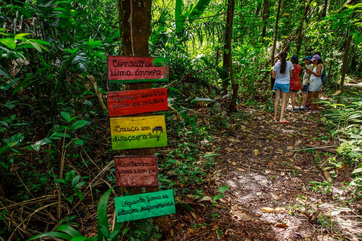 Es el que se puede disfrutar en Amazonia, donde se amalgaman las tradiciones, la vida cotidiana y los servicios para los visitantes. (Gentileza: Carlos Borges)