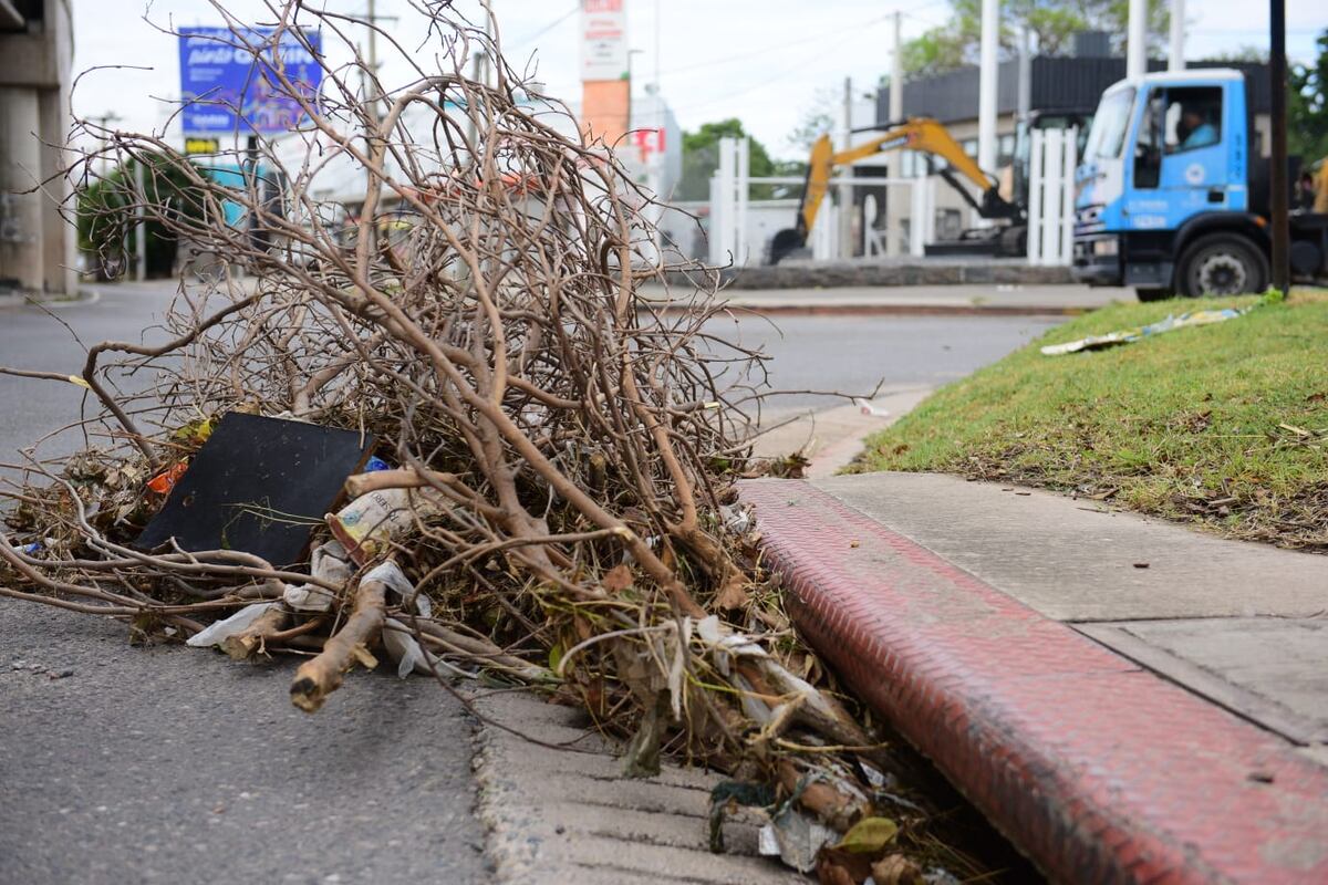 Una boca de tormenta tapada de basura y ramas tras el temporal en Córdoba (José Hernández/LaVoz).